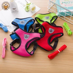 Collar con correa transpirable para perro pequeño – Verano fresco