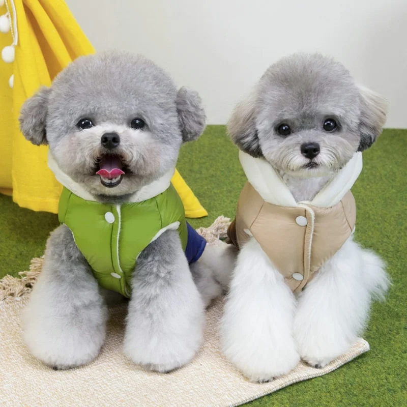 Chaqueta cálida y suave para perro, abrigo acolchado de invierno, ropa para perro, abrigo con orejas de oso para cachorro, chaqueta con estampado de letras para gato, disfraz para mascota Chihuahua - imagen 4