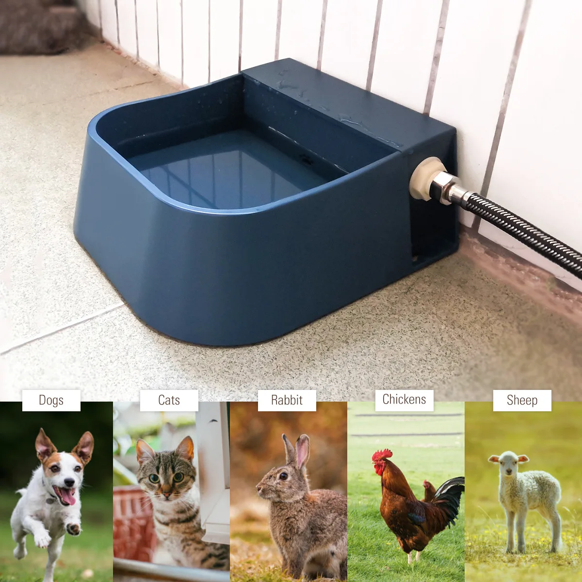 Cuenco de agua de llenado automático, dispensador automático de agua para perros de 2L, válvula de flotador de agua para ganado interior y exterior, alimentador de agua para gato y pollo - imagen 2