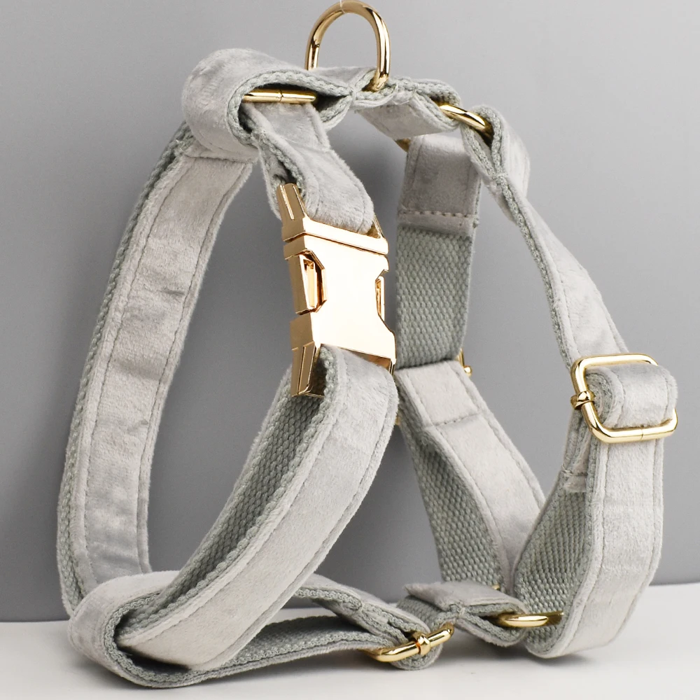 Juego de arnés y collar para perro personalizado con correa, nombre grabado personalizado, soporte para bolsa para caca de perros pequeños a medianos incluido - imagen 2