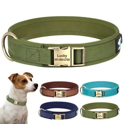 Collar nailon acolchonado para perros – Identificación personalizada