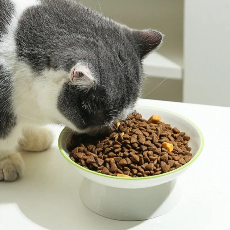 Cuenco de cerámica antideslizante para perros y gatos, plato en ángulo de boca ancha, contenedor de agua y comida de gran capacidad para gatitos, cuenco antideslizante para cachorros, suministros para mascotas - imagen 4