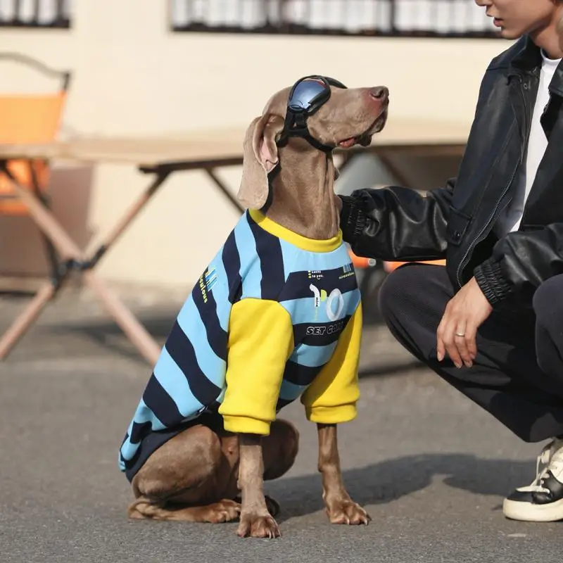 Ropa para perros de primavera y otoño para perros grandes, sudaderas con capucha para perros grandes con gafas, abrigo suave de algodón para Labrador Golden Retriever - imagen 4
