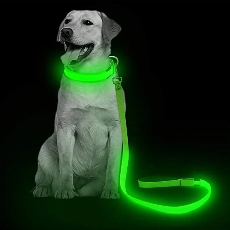 Correa Led brillante para perro, Collar luminoso con colgante, luz de lujo para perros y gatos, accesorios intermitentes de seguridad nocturna - imagen 2