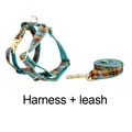 Harness   leash