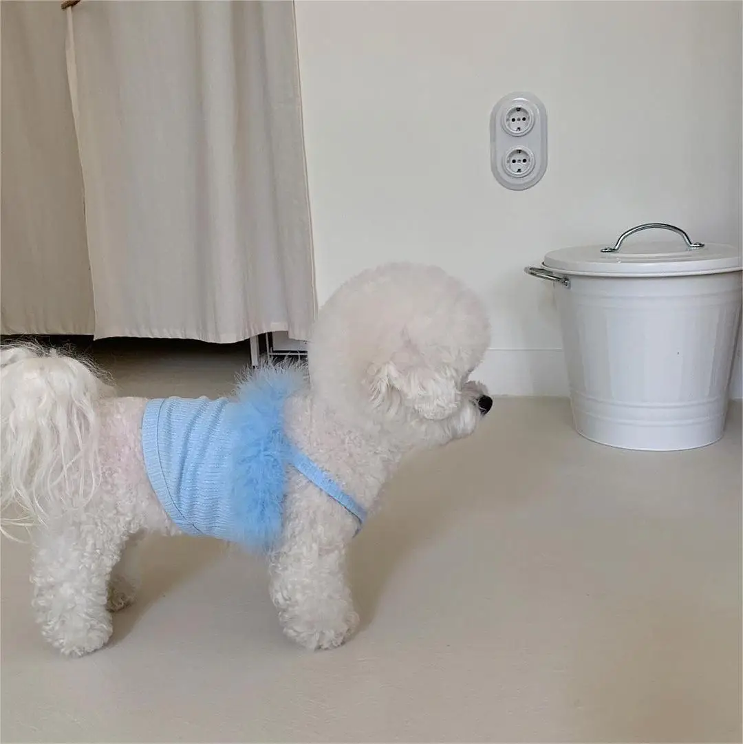 unknown_335516770_136896426056