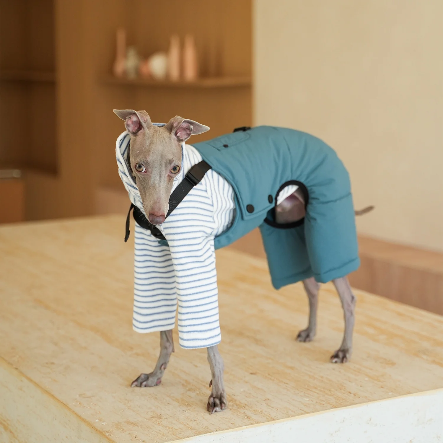 Mono cargo de algodón grueso y cálido para Bedlington Otoño Invierno Manga larga Camiseta de rayas rojas blancas Traje de pantalón suave para whippet Traje clásico de estilo británico para perros medios en clima frío - imagen 4