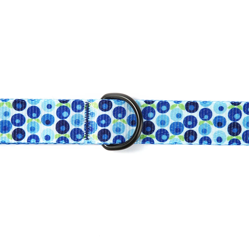 Correa para perro PLATTCO imitación nylon BLUE BERRY BOX personalizada con hebilla de seguridad para perros pequeños, medianos y grandes, 5 tamaños PDL328 - imagen 2