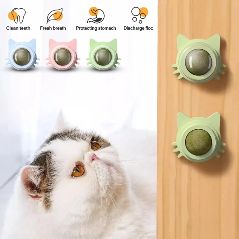 Piruleta de hierba gatera para gatos, diseño de pared, cuidado Dental, aliento fresco, aperitivos para gatos, bola energética, protección del estómago, suministros para mascotas, 1 Uds. - imagen 5