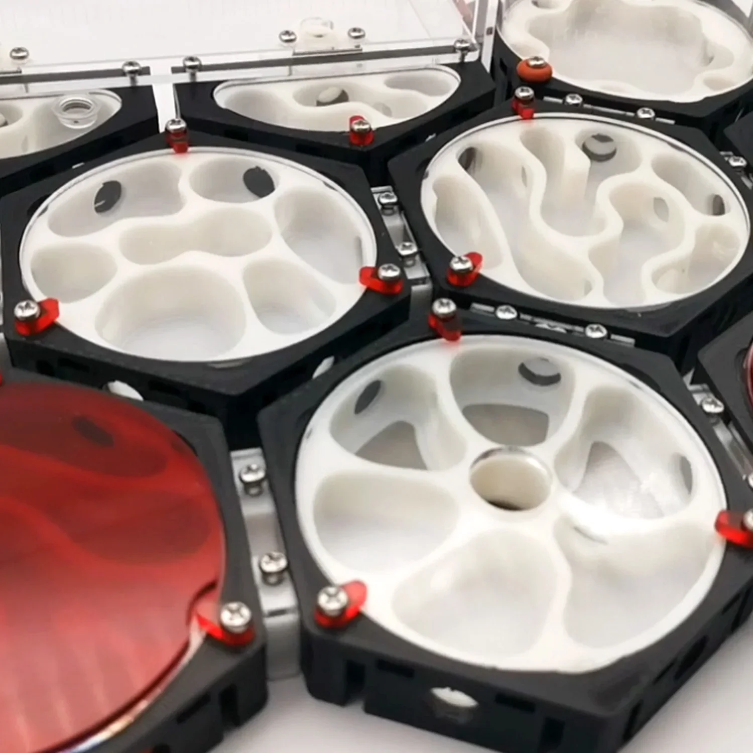 Estación espacial de hormigas de granja de hormigas de expansión ilimitada, bebedero, nido de hormigas hidratante, taller de antill para mascotas, estructura de panal, casa de hormigas - imagen 4