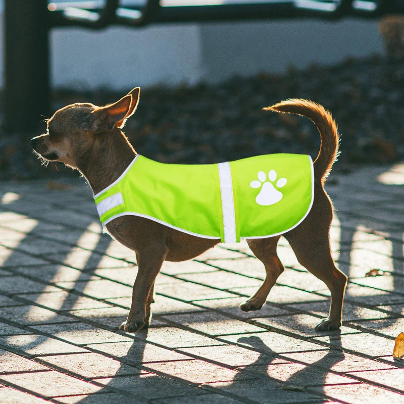 Benepaw Chaleco reflectante ajustable para perros, impermeable, fluorescente, chaqueta para perros de alta visibilidad, ayuda a proteger a su cachorro al aire libre - imagen 2