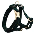 Harness