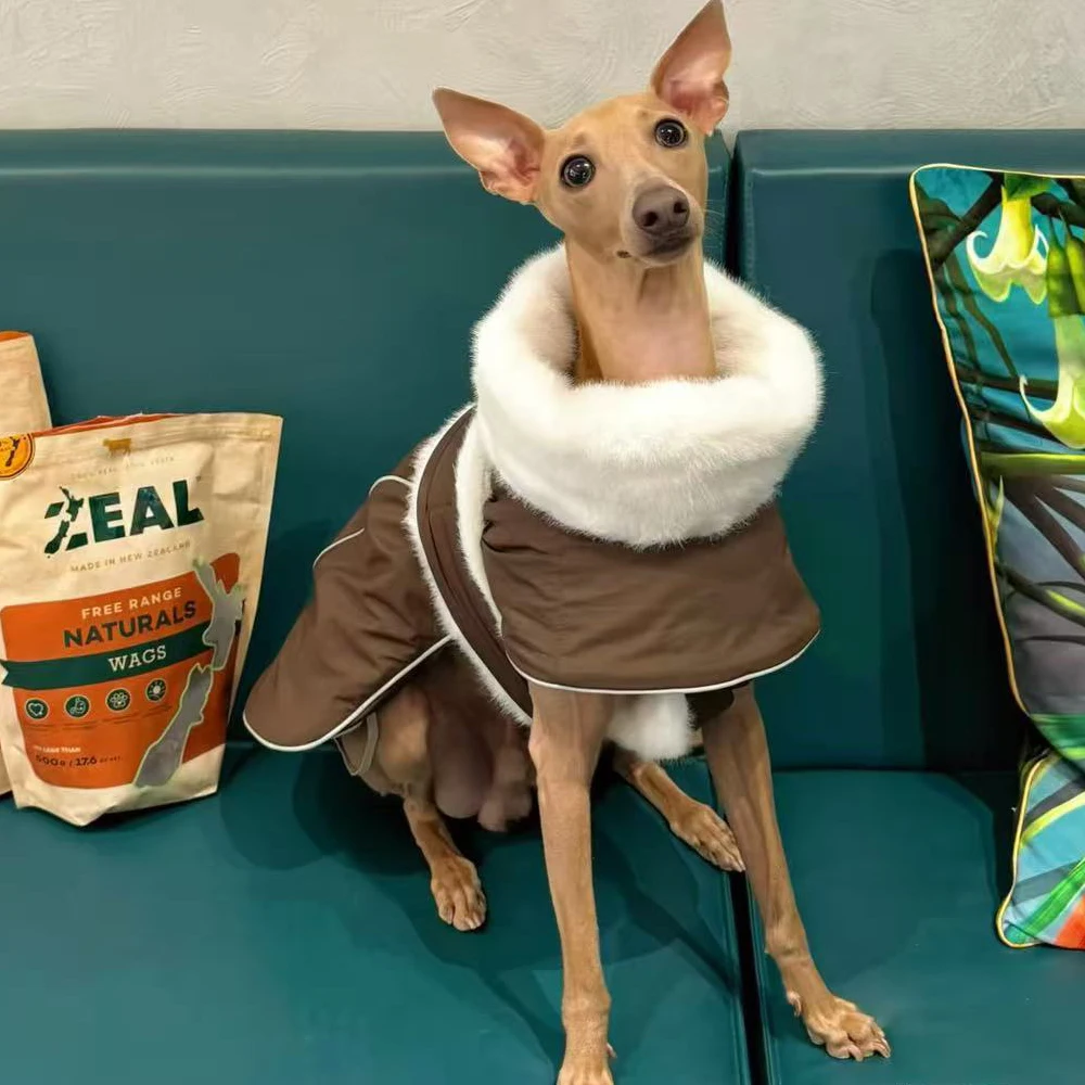 Capa con cuello de piel de invierno para perros Whippet de medios pequeños, elegante cinturilla ajustable, abrigo grueso y cálido para galgos italianos - imagen 4