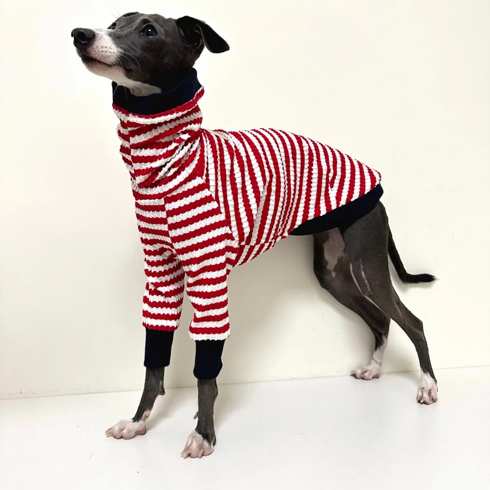 Camiseta de primavera de cuello alto a rayas rojas para perro medio, abrigo de manga larga de algodón elástico para pijamas suaves de galgo italiano Wellington - imagen 4