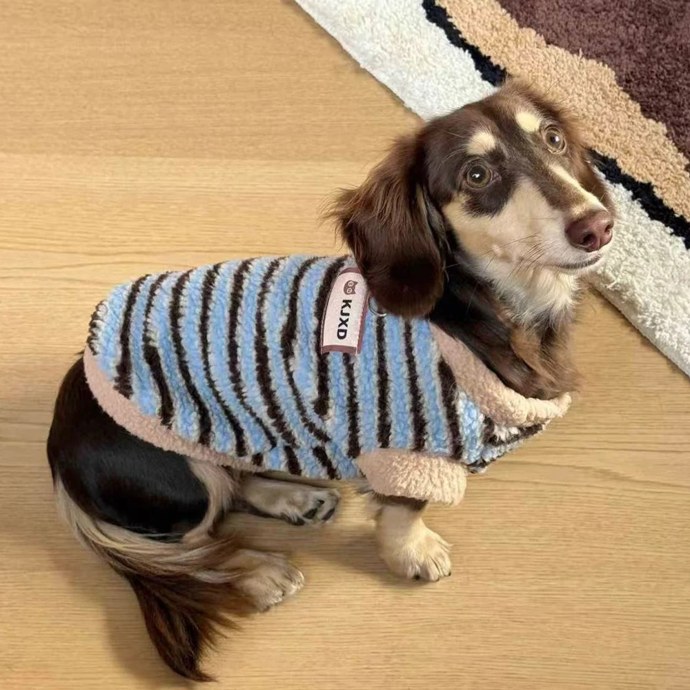Disfraz para perro salchicha forro polar a rayas – Cálido y suave