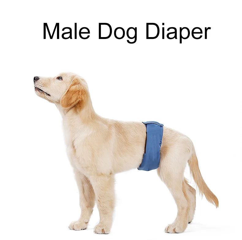 Banda ajustable del pañal para perro macho