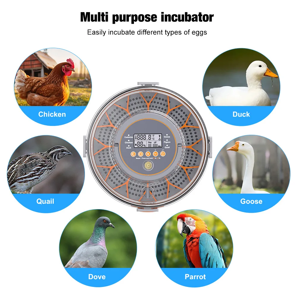 Incubadora inteligente de huevos de temperatura constante, incubadora automática de pollos, patos y gansos pequeños, productos para mascotas, suministro de animales de granja - imagen 3