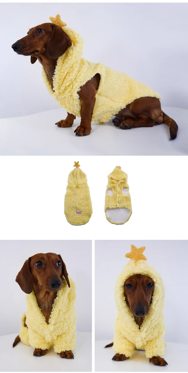 Detalle de capucha con forma de estrella para perro