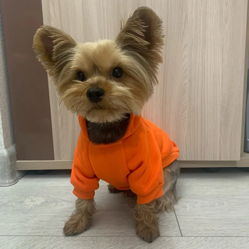Ropa para perros pequeños, Sudadera con capucha de invierno para mascotas, abrigo para cachorros y gatos, chaqueta, Bulldog Francés, Chihuahua, Yorkie, disfraz de Pug, suministros para mascotas - imagen 5