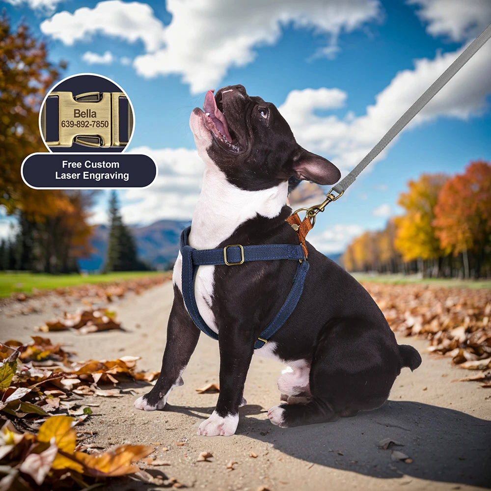 Nuevo arnés para perros personalizado, arnés reflectante de nailon para perros, chaleco con etiqueta de identificación para mascotas grabada gratis, arneses para perros pequeños, medianos y grandes, Pug - imagen 5