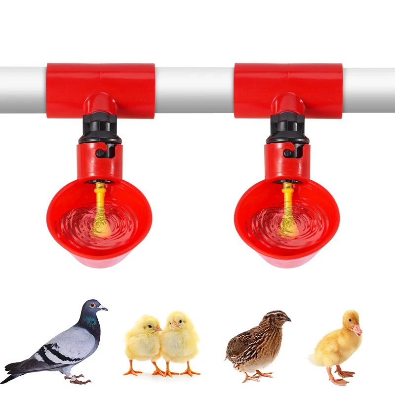 Cuencos de bebedero para pollos con tubos en T de PVC, taza de agua para aves de corral, bebedero automático para pollos, dispensador de agua, 5/10 Uds.