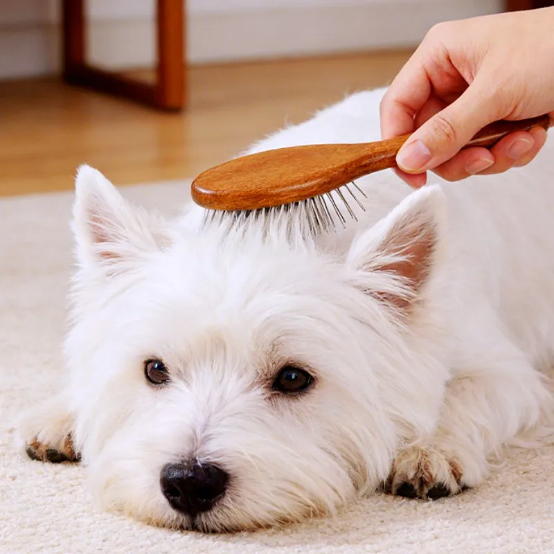 Cepillo de madera antinudo para gatos y perros – Peine suave - imagen 5