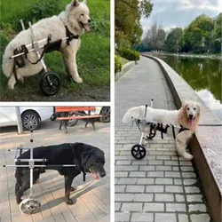 Silla de ruedas para mascotas, vehículo de asistencia para caminar para rehabilitación de perros, Scooter para perros discapacitados medianos y grandes