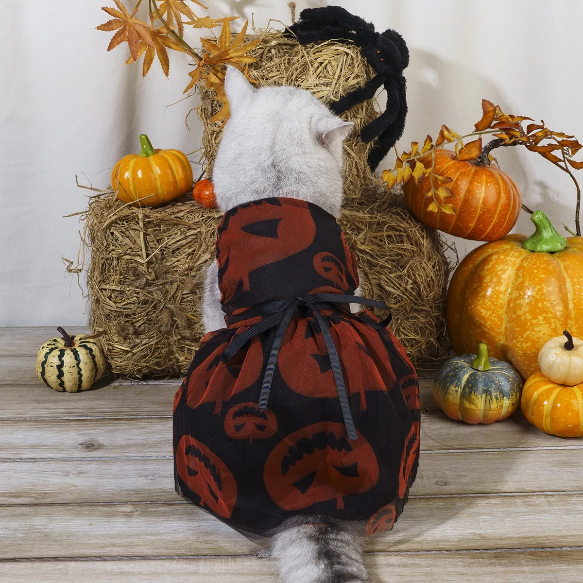 Vestido de disfraz de Halloween de calabaza oscura para niña, chaleco con nudo de lazo negro para gato, monos, velos góticos en capas, ropa para perros pequeños y medianos - imagen 3