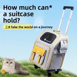 Bolsa transportín para gatos – Ligera y transpirable al viajar