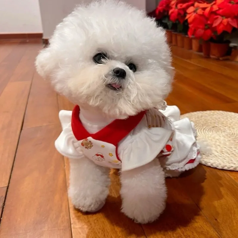 Pet Dog Princess Dress Teddy Bears clothes Maltese Dog Clothes Puppy Dresses for Small Dogs - imagen 3