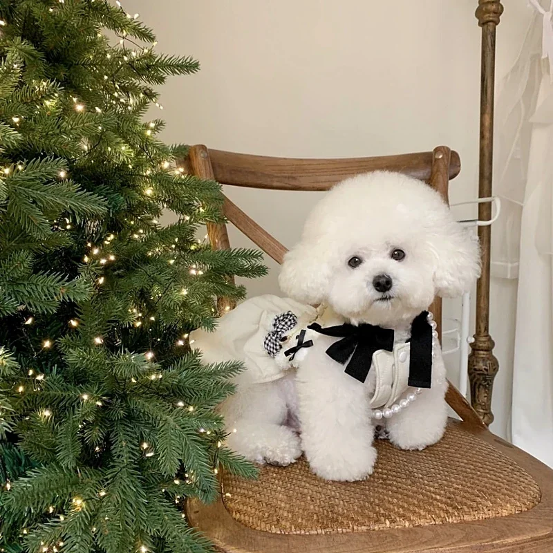 Sin bolsa, ropa de algodón para mascotas de princesa para perros, ropa de invierno de peluche, vestido cálido para cachorros de Pomerania, ropa gruesa de Yorkshire - imagen 5