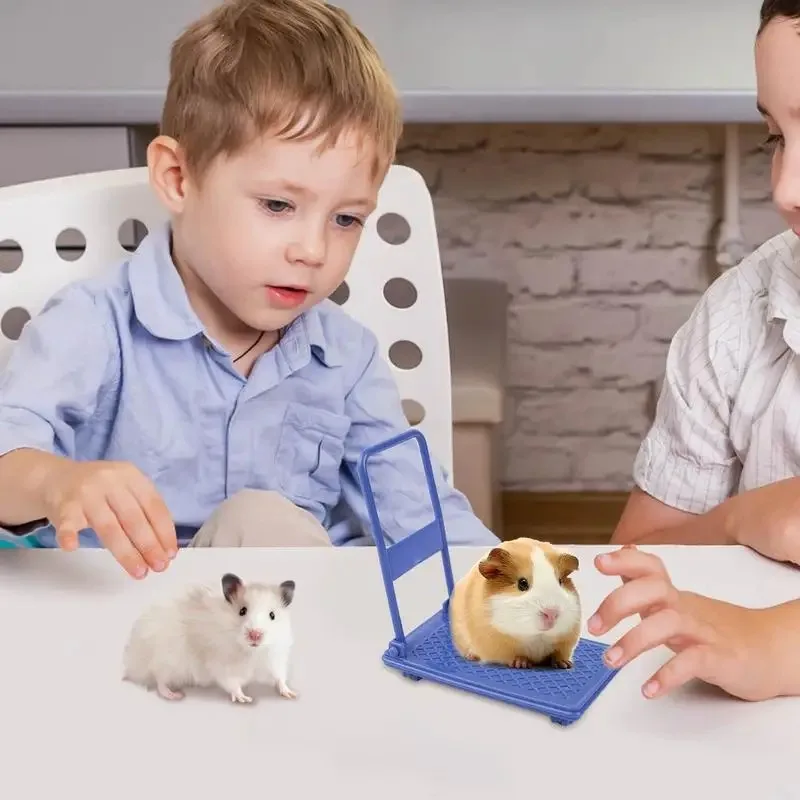 Pequeños juguetes para mascotas, loros, juguetes para hámster, Mini carritos, jaulas portátiles plegables para hámster, adornos fáciles de almacenar - imagen 4