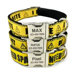 Collar personalizado con etiqueta identificativa para gatos y perros