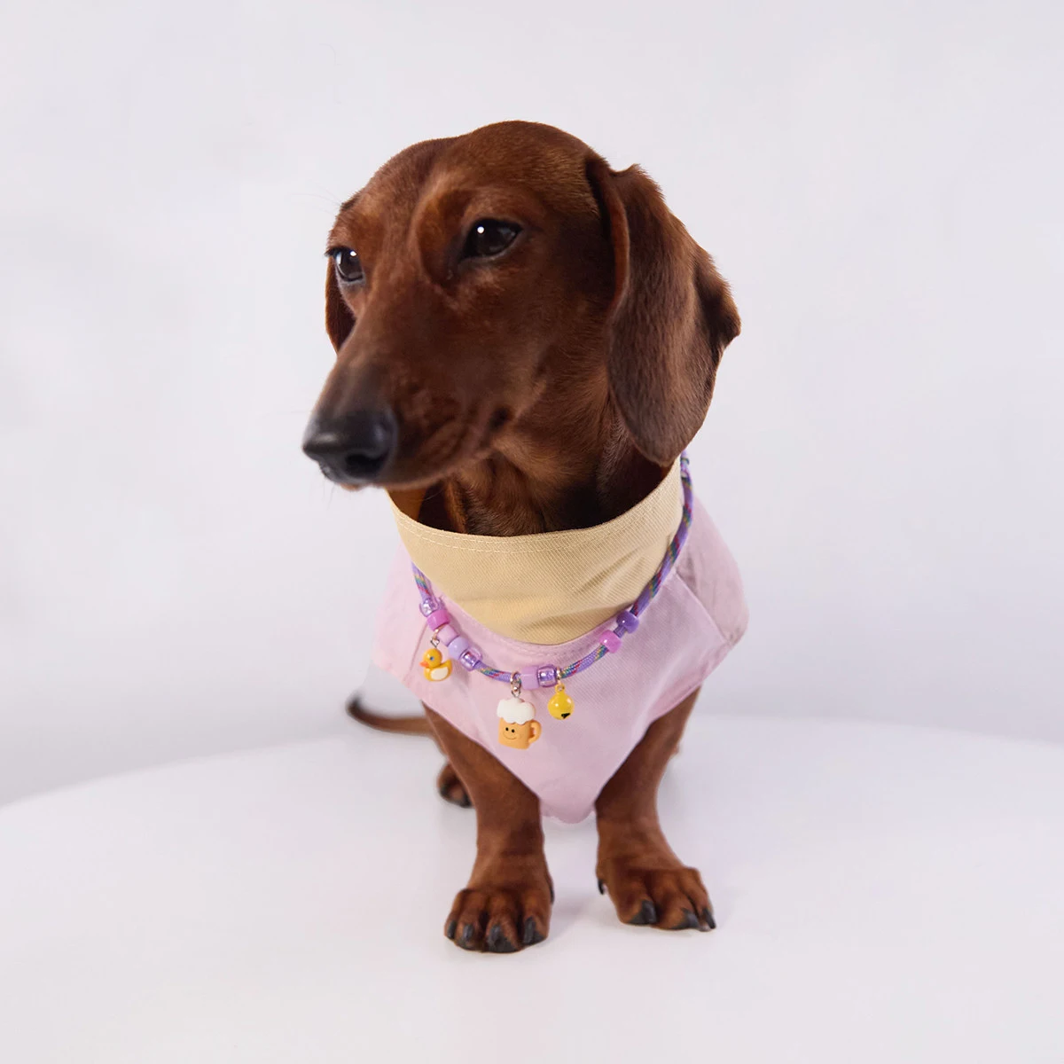 Camiseta de primavera para perros salchicha – Abrigo suave sin mangas - imagen 3