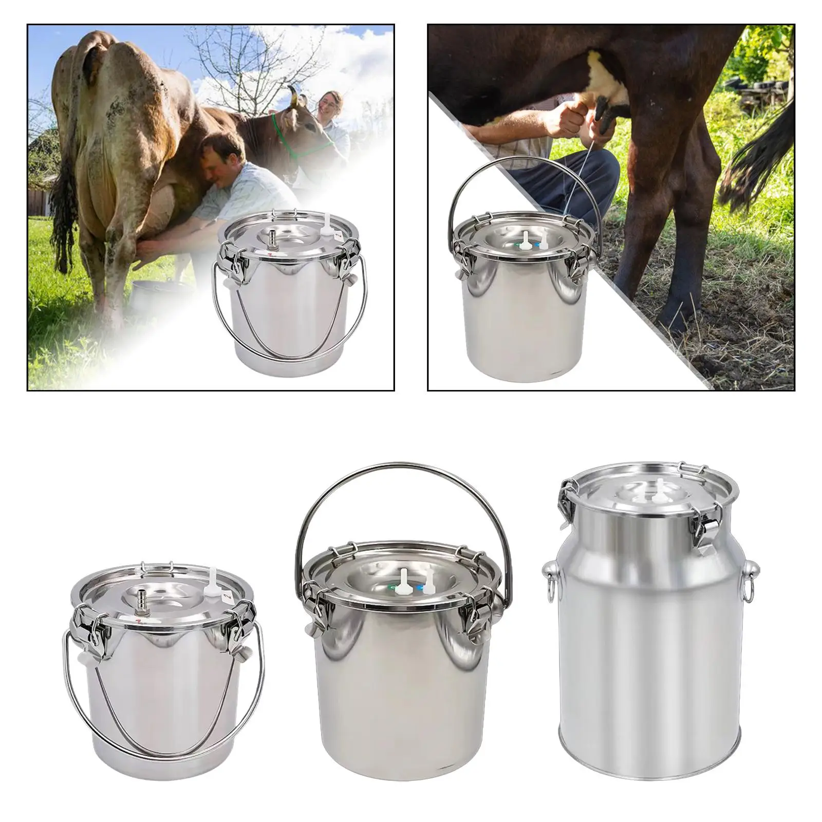 Milking Machine Bucket Multipurpose Easy Carrying Sturdy Stainless Steel Milk Bucket for Livestock Farm Sheep Milking Device Milking Machine Bucket Multipurpose Easy Carrying Sturdy Stainless Steel Milk Bucket for Livestock Farm Sheep Milking Device