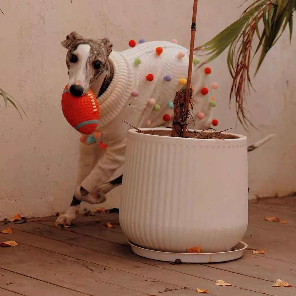 Ropa para perros: galgo italiano, whippet y saluki, sueter de invierno - imagen 5
