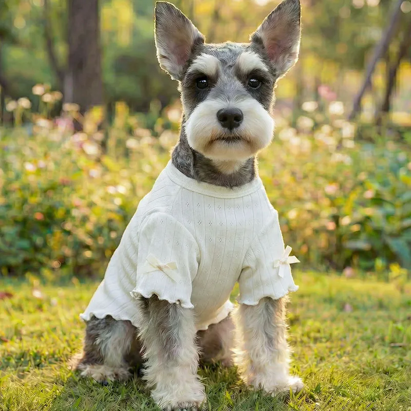Sudadera con capucha para perro Chihuahua – Talla XS, color caramelo - imagen 4