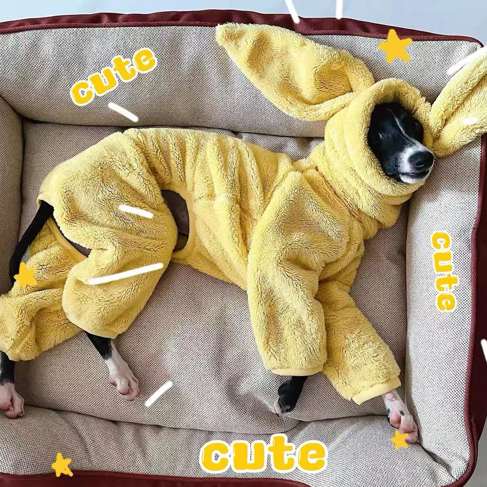 Abrigo cálido de invierno con Orejas de conejo para galgo italiano pequeño, chaqueta de cuello alto a prueba de viento para Whippet en clima frío - imagen 5