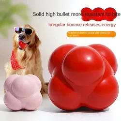 Juguete interactivo de goma para perros, masticable sólido, resistente, rebote irregular, alivio del aburrimiento y entrenamiento de lanzamiento para masticadores agresivos