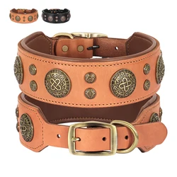 Collar de cuero con tachuelas para perros medianos - Bulldog Francés