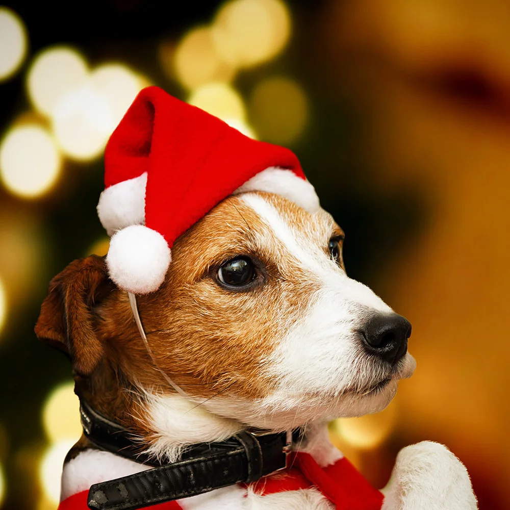 Sombrero de Papá Noel para perros y gatos, sombrero de Navidad para cachorros pequeños, adornos de disfraces de vacaciones, accesorios de Cosplay, gorras, suministros para fiestas de Navidad para mascotas
