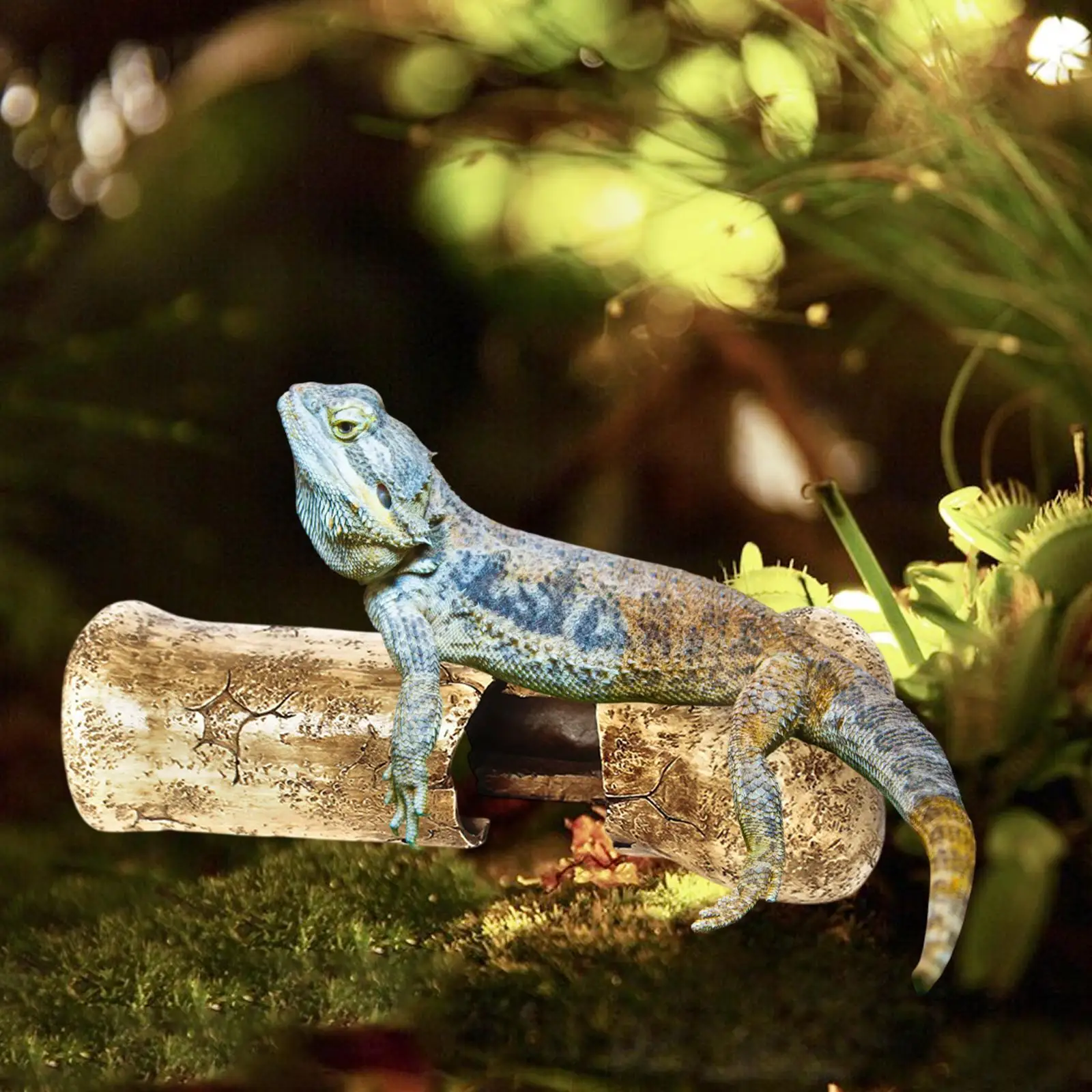 Reptile Rock Hide Cave Decorative Landscape Ornament for Fish Geckos Lizards