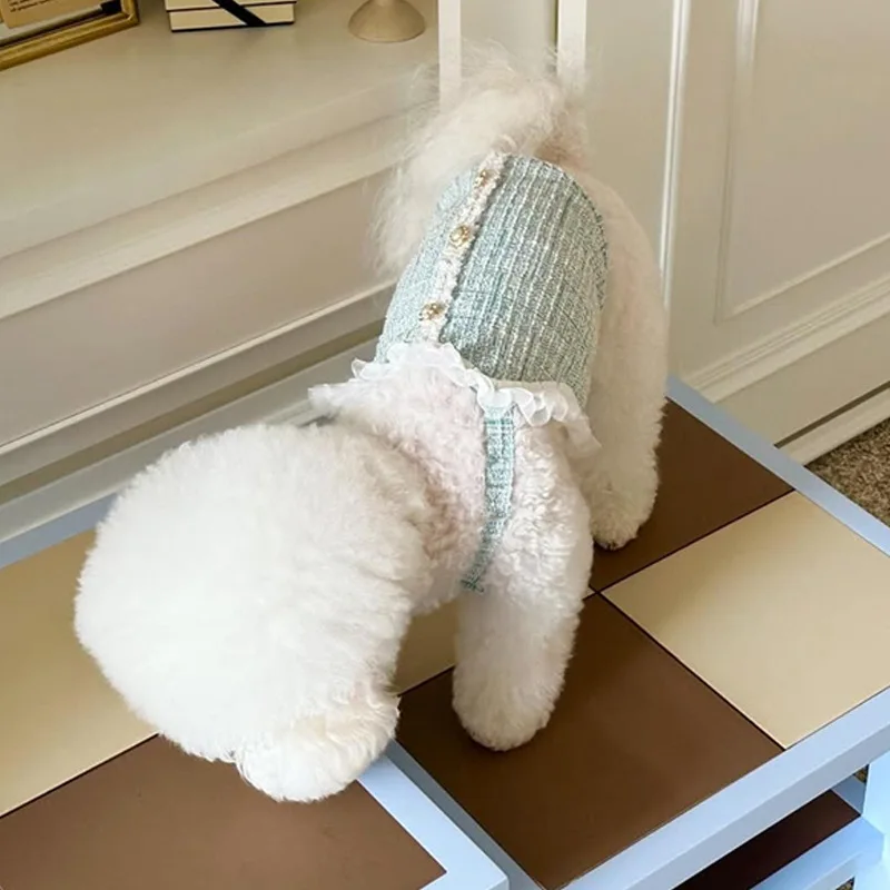 Nueva colección de primavera para mascotas, chaleco de princesa para gatos, bonito encaje con perlas, perro pequeño, ropa para cachorros, vestidos para perros pequeños