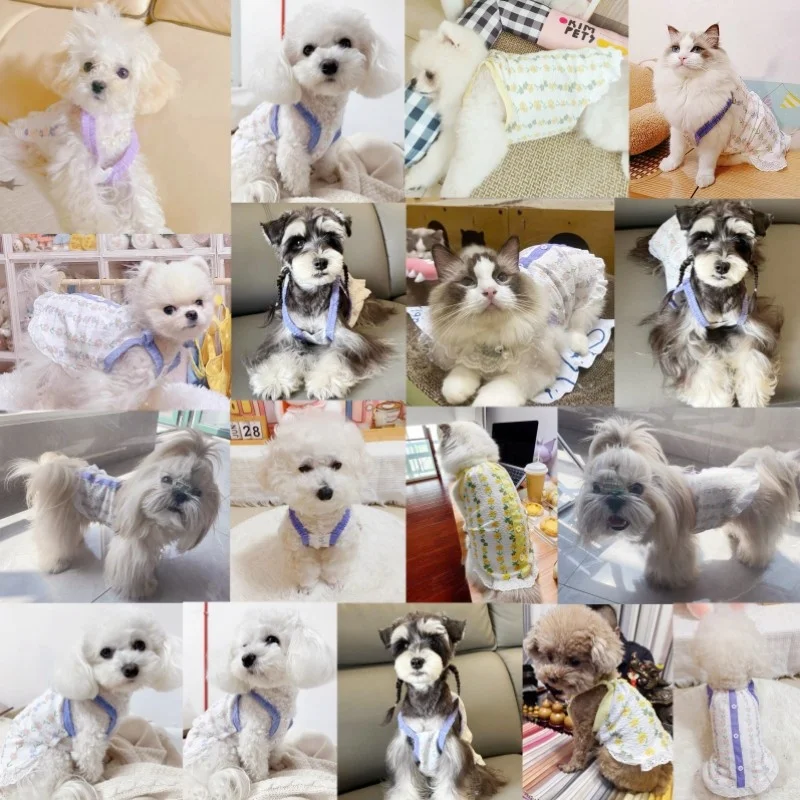 Ropa de lujo para perros, falda con tirantes para perros, bonito vestido de princesa con estampado para cachorros, vestido dulce para gatos, disfraces para mascotas, ropa para mascotas Chihuahua - imagen 2