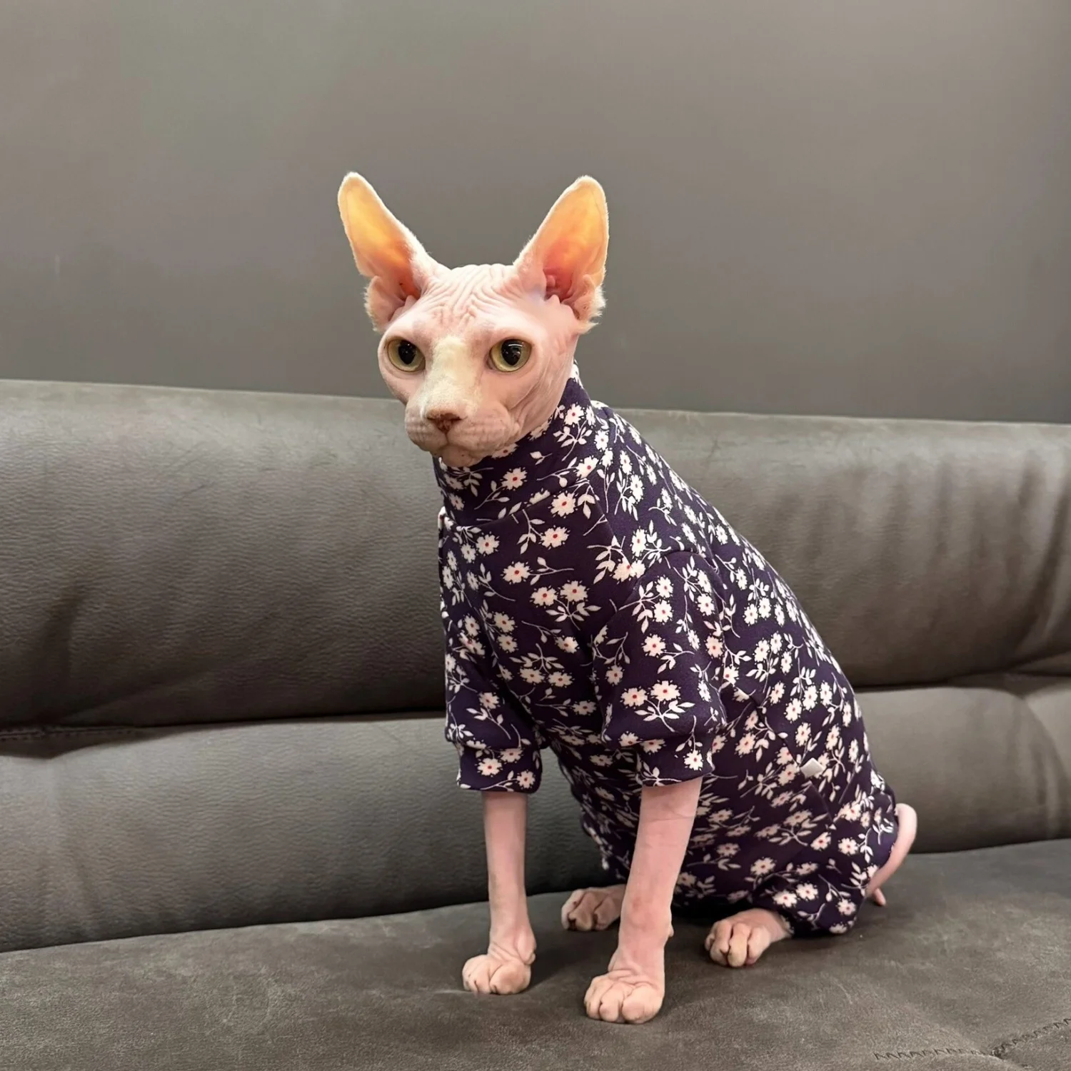 Pijama manga larga para gato Sphynx – Estampado floral de algodón para hembra - imagen 4
