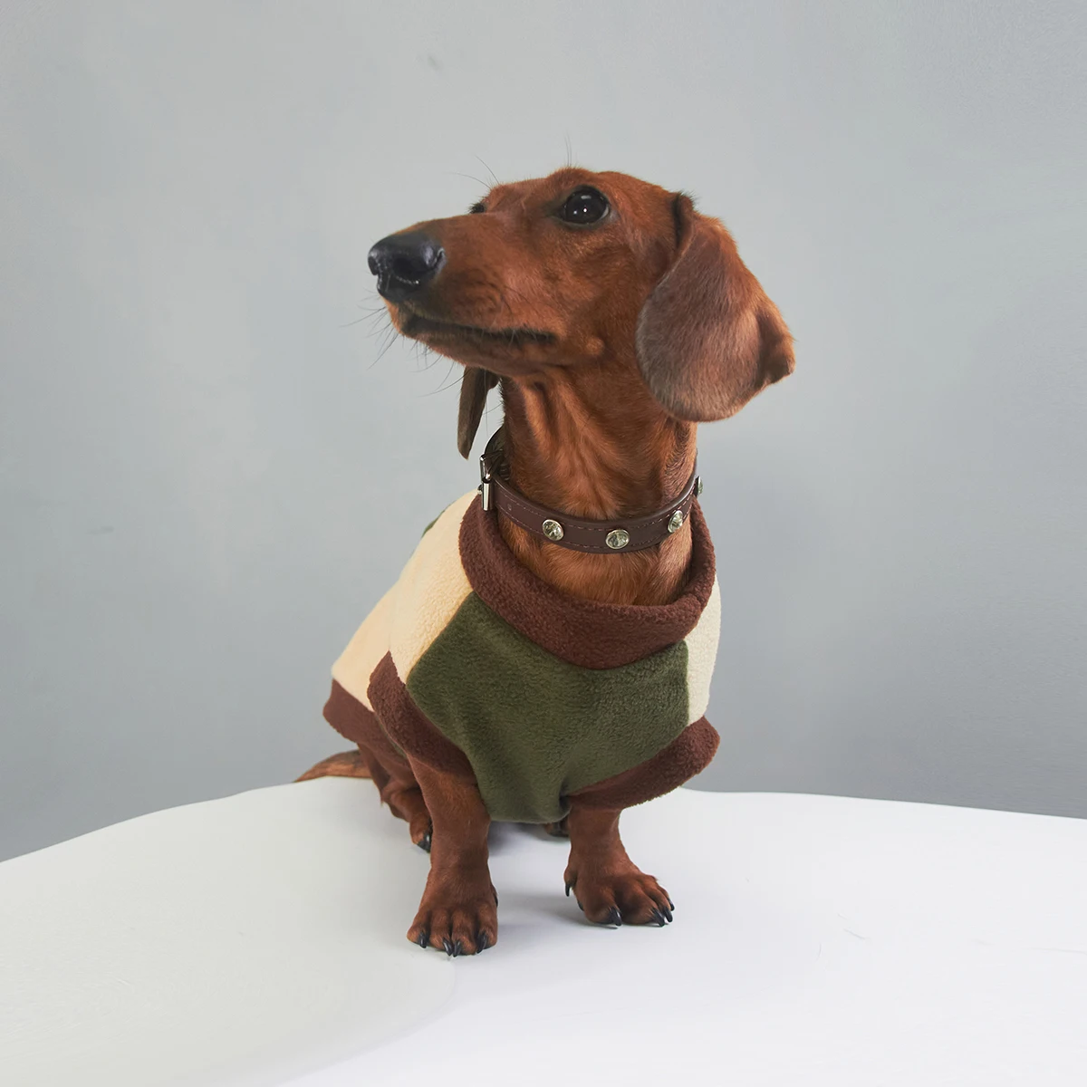 Sudadera de lana cálida de invierno para perros Wiener, chaleco de moda grueso de manga corta suave para perros salchicha, ropa para perros tejón - imagen 2