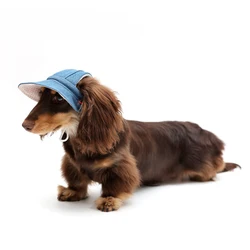 Gorra con protección solar para perro Bulldog Francés Yorkie