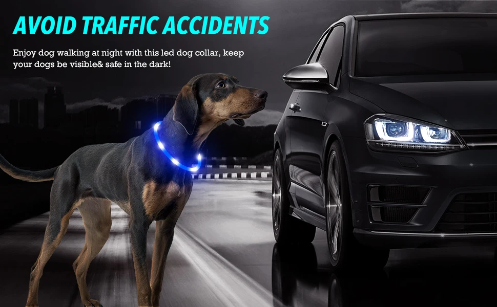 Collar LED en diferentes colores