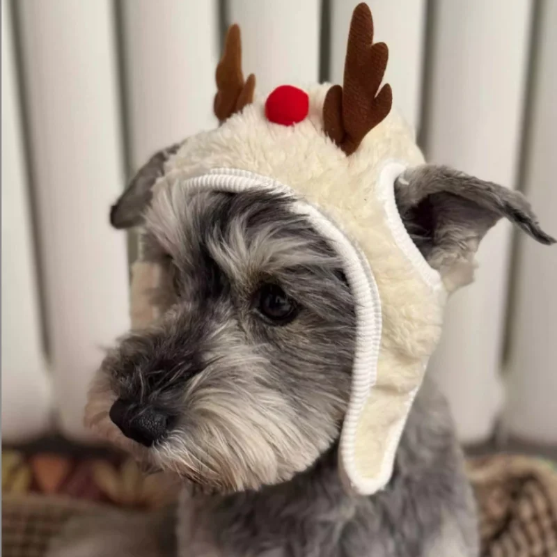 Navidad lindo perro gato ropa cachorro Santa bufanda roja sombrero divertido Navidad mascota disfraz fiesta de año nuevo mascota perro gato vestir - imagen 5
