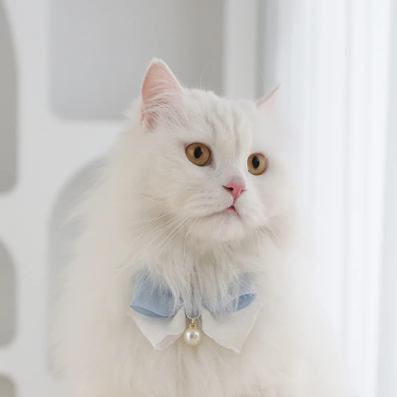 Collar elegante con perlas y mariposa para perros y gatos